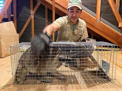 Seattle pest control